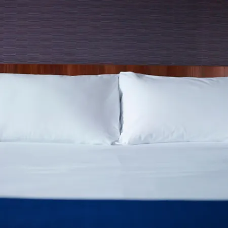 Hotel Express Saint Charles, An Ihg 3*